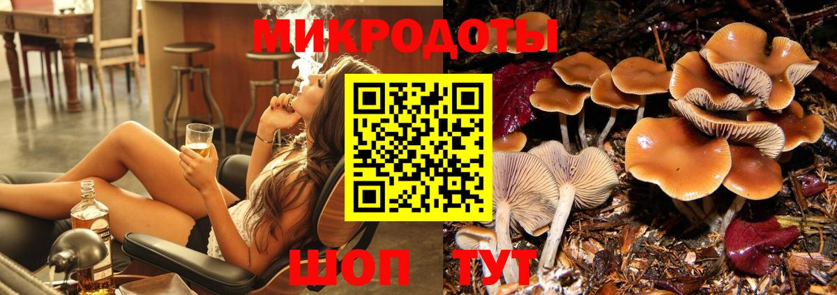 Нижний Тагил  купить  цена  Вход с VPN  Псилоцибиновые грибы Psilocybine cubensis 