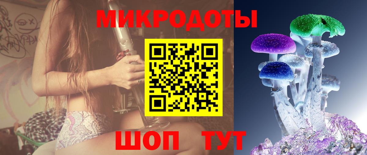 Псилоцибиновые грибы Cubensis Нижний Тагил